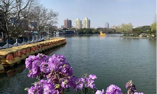上海长风公园楼盘有哪些_上海长风公园楼盘