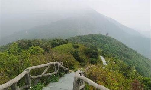 梧桐山一日游攻略,梧桐山旅游攻略路线