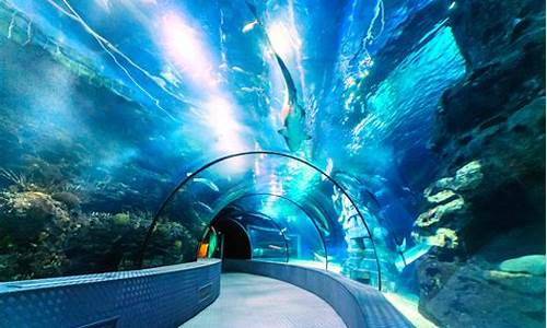 长风公园海洋世界水族馆在哪,长风公园海洋世界水族馆