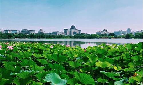 厦门莲花山公园在哪里,厦门莲花公园属于哪个区