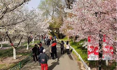 玉渊潭公园樱花赏花,玉渊潭公园樱花节门票价格