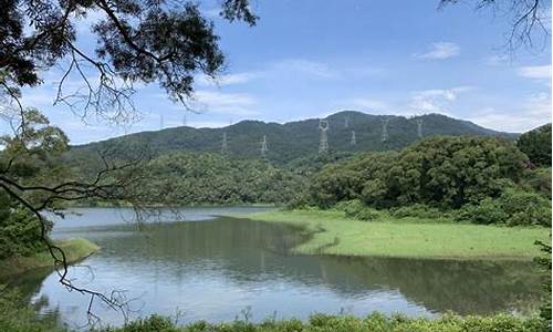 厦门天竺山森林公园在哪,厦门天竺山森林公园在哪里距厦门北近还