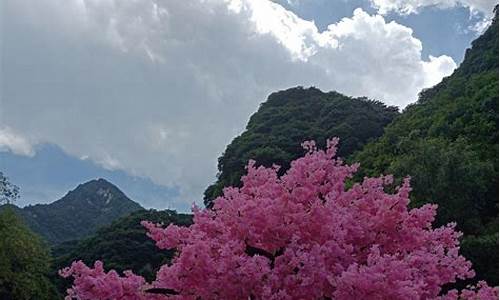 森林公园一日游攻略,浦口老山森林公园一日游攻略