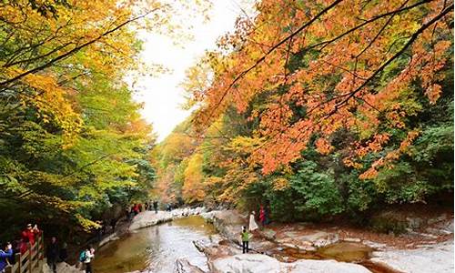 广元光雾山旅游攻略最全路线_广元光雾山旅游攻略最全路线图