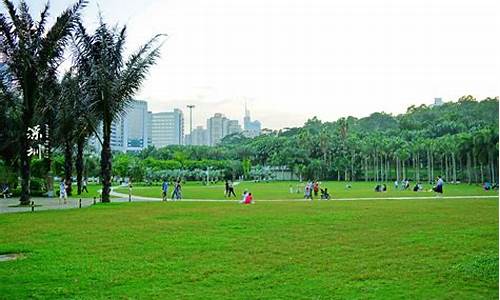 深圳莲花山公园在那_深圳莲花山公园那个门最好