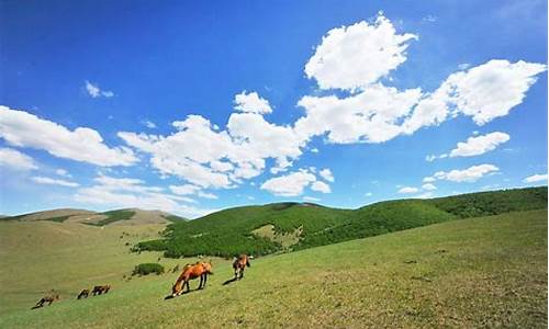 丰宁坝上草原免费景点_丰宁坝上草原旅游攻略2天需要多少钱