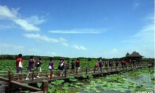 南沙湿地公园好玩吗,南沙湿地公园有什么玩