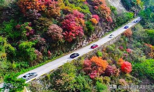 翠华山适合带小孩吗,翠华山旅游攻略一日游能带宠物吗