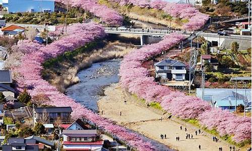 日本赏樱旅游路线,日本赏樱花最好的地方