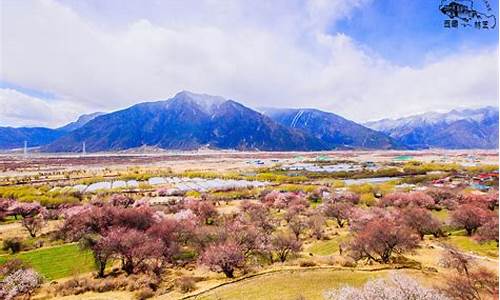 林芝旅游攻略必玩的景点有哪些,林芝旅游攻略游