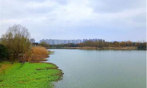 长沙洋湖湿地公园门票多少钱一张,长沙洋湖湿地公园烧烤