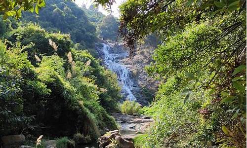 马峦山郊野公园门票多少钱,马峦山郊野公园攻略