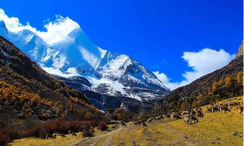 稻城亚丁旅游攻略五天必去景点推荐_稻城亚丁旅游路线