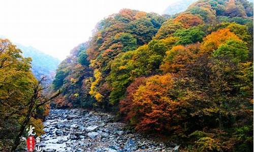 光雾山旅游攻略班车路线,光雾山在哪里,光雾山风景区乘车路线