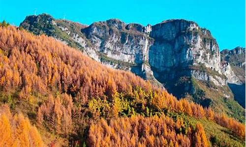 秋季旅游攻略重庆路线,重庆秋天旅游