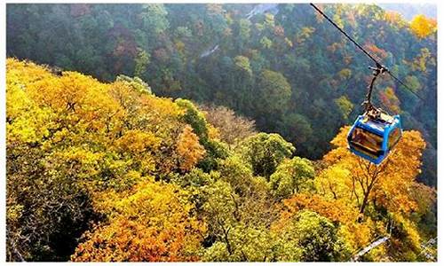 金佛山秋天,金佛山秋季旅游攻略