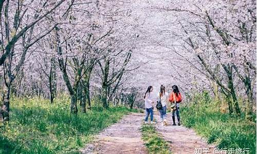 春季旅游最佳去处_春季旅游攻略景点大全推荐