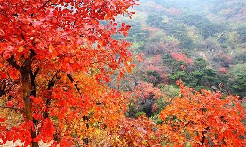 北京香山公园开放时间,北京香山公园开放时间表