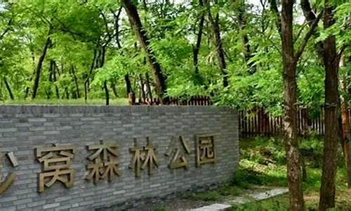 郑州森林公园门票多少钱_郑州森林公园开放了吗?门票多少