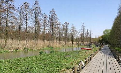 青西郊野公园-青西郊野公园景色介绍