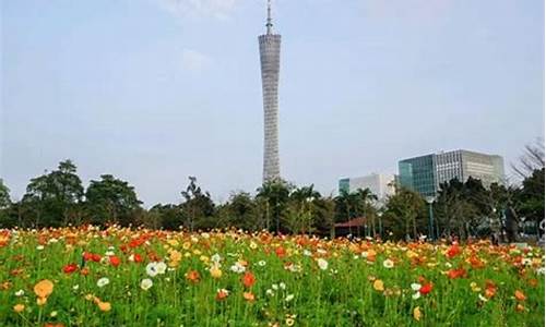 宏城公园观花植物种植条件-宏城公园观花植物种植