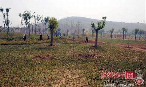 南高基公园占地面积-南高基工业园