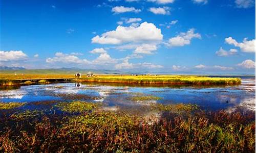 若尔盖花湖风景图片-若尔盖花湖自驾游路线