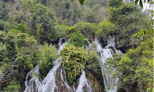 贵州荔波几月份去最好-荔波旅游攻略详细