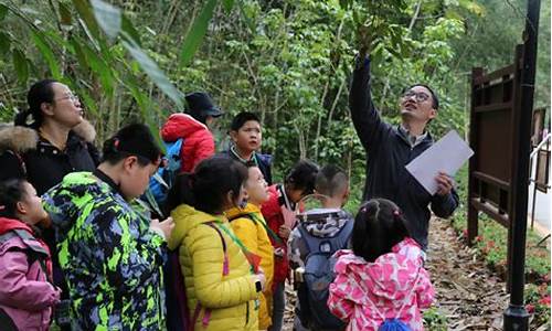 生态旅游景点研学-生态旅游景点研学心得体会