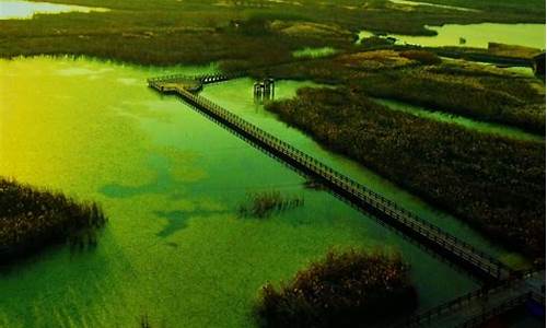 杭州湾湿地公园游玩时间多长,杭州湾湿地公